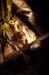 11-07-09_ColumbusOH_#C0055